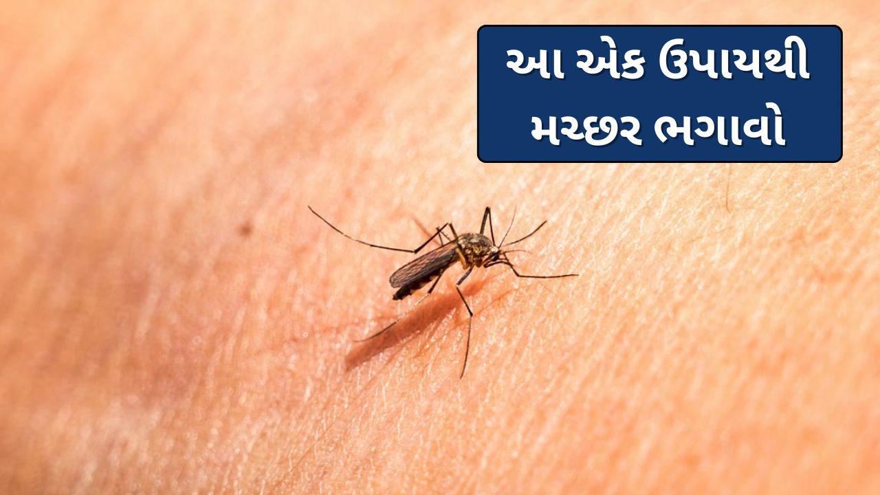 Home Remedies For Mosquito